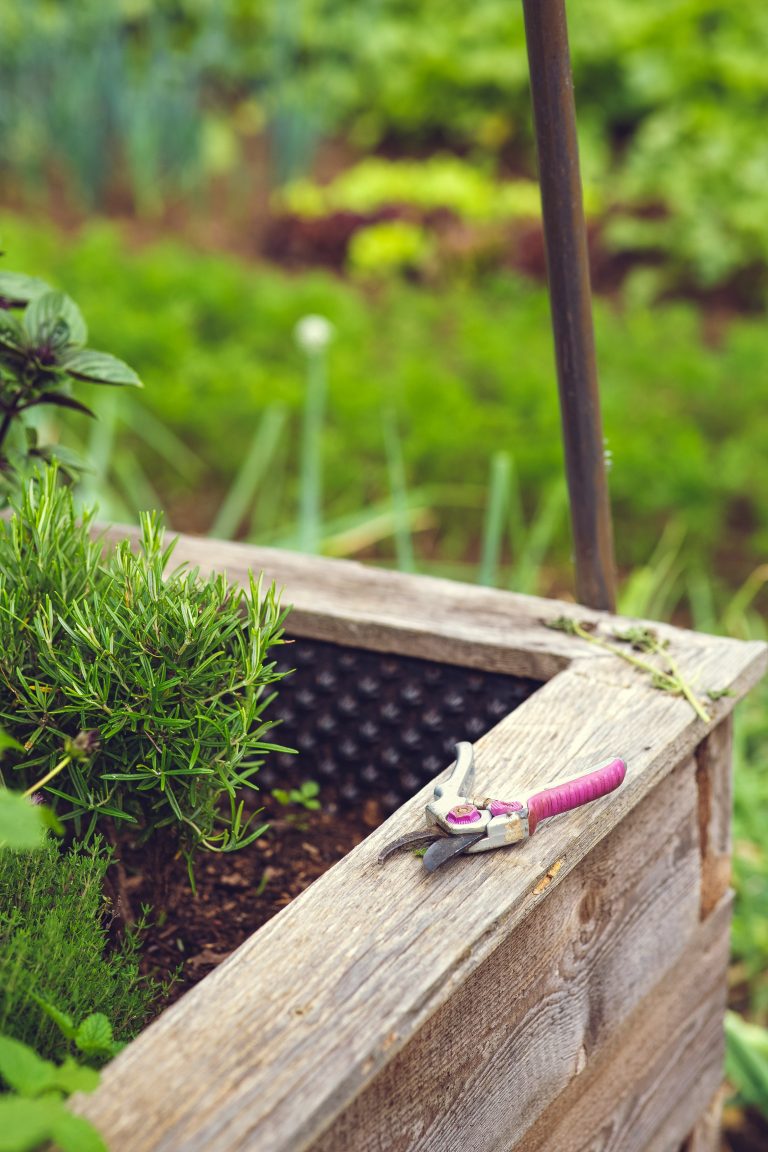 Hochbeet anlegen: Schritt‑für‑Schritt‑Anleitung für deinen Garten