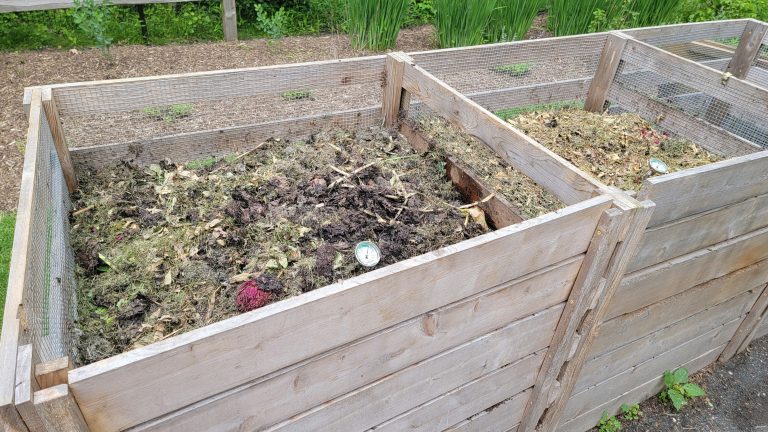Kompost anlegen: So entsteht nährstoffreiche Erde für deinen Garten