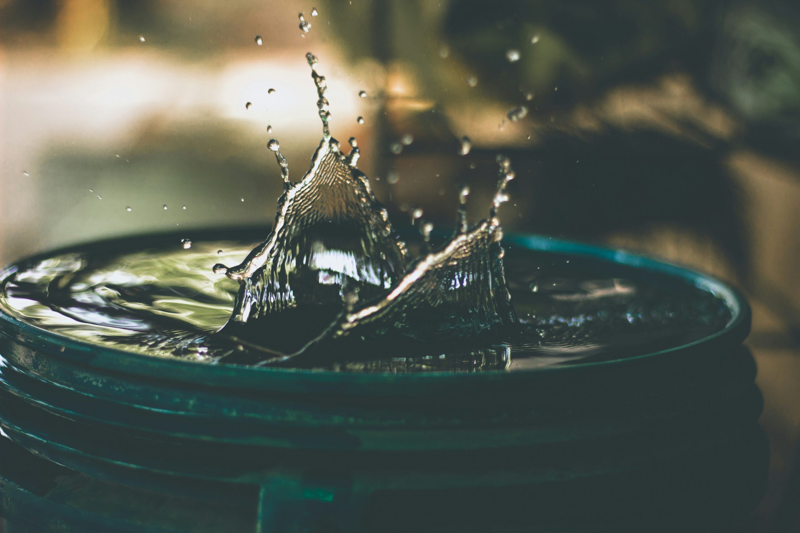 Regenwasser zum Gießen im Garten ist nachhaltig und spart Geld