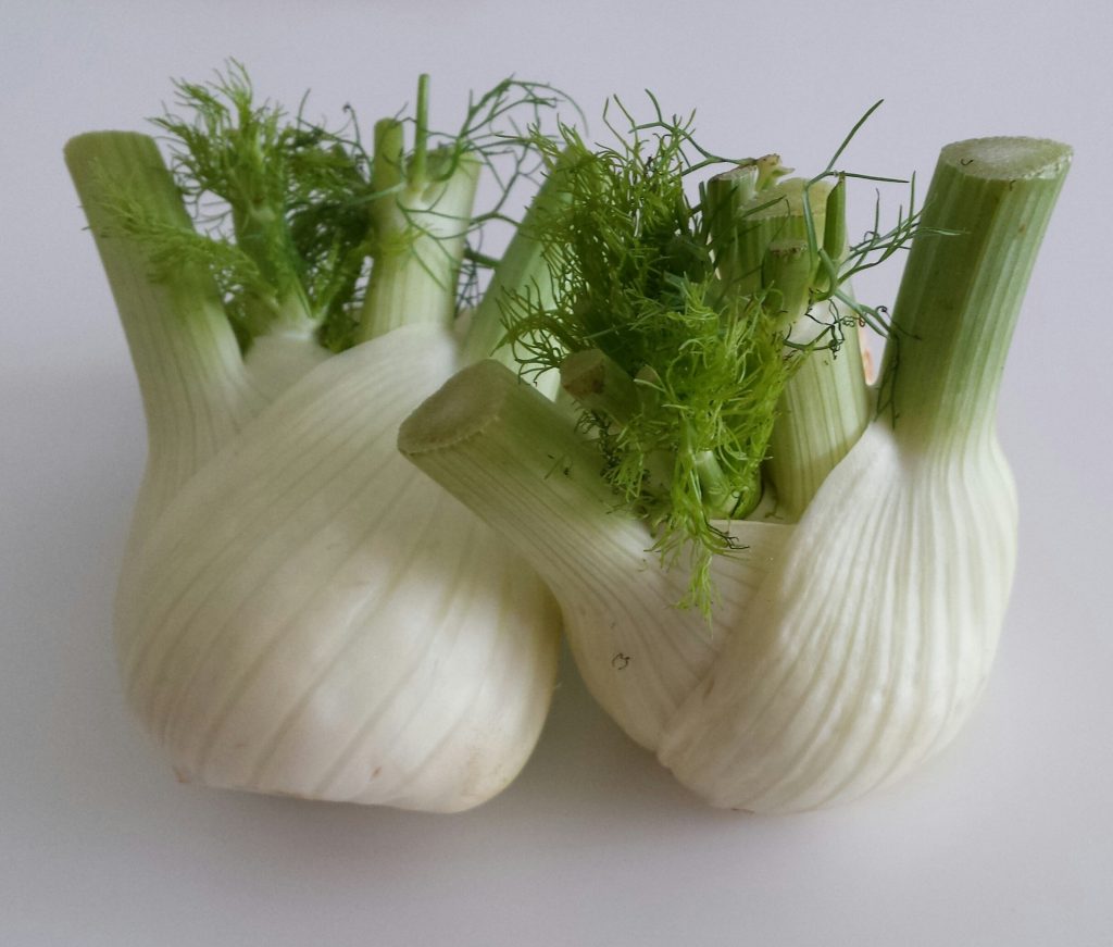 Fenchel – Pflanzen, pflegen und ernten (aromatisch & vielseitig)